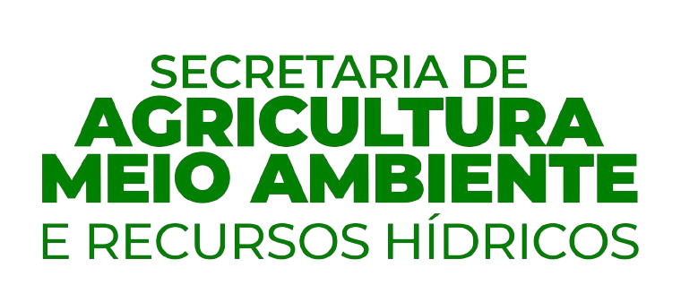 Logo Sistema